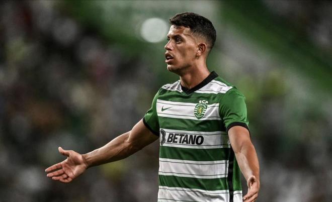 展现了他们 展现了他们